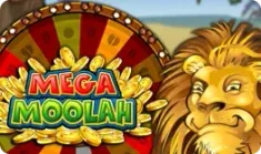 Mega moolah